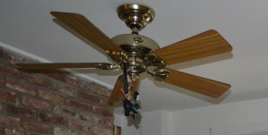 DSC_0713 - Version 2