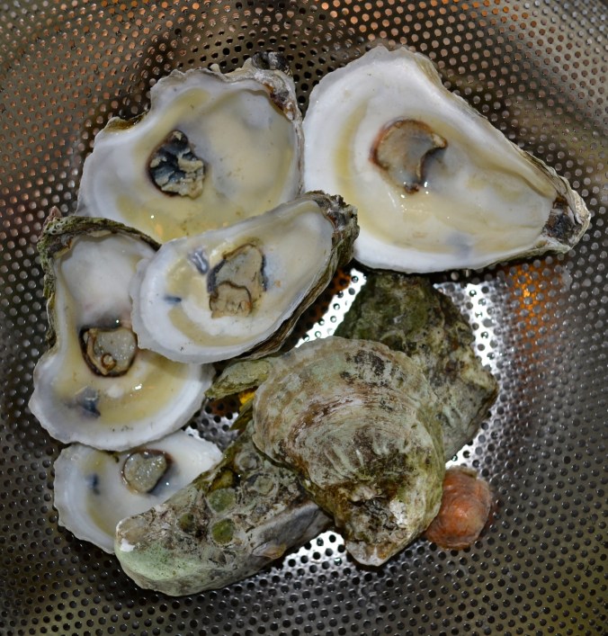 Gold Oyster Dishes from JustSomethingIWhippedUp.com